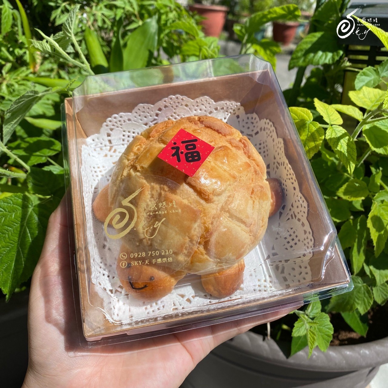 平安奶酥菠蘿龜